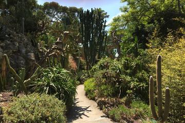 Private full Day Tour Villa and Garden Ephrussi de Rothschild and Villa Kerylos and Monaco from Nice
