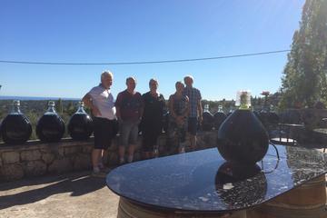 Private St-Jeannet, St-Paul-de-Vence, and Wine Tour from Monaco