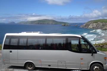 Private Guided Tour of Dingle Peninsula from Tralee