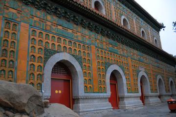 1 Day Forbidden City, Temple of Heaven, and Summer Palace Tour (No shopping)