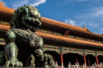 1 Day Private Beijing Tour from Shanghai by Flight (No shopping)