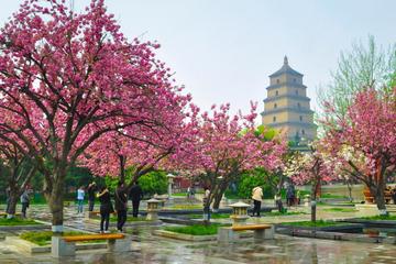 2 Days Xian Small Group Tour: Terracotta Army and City Sightseeing