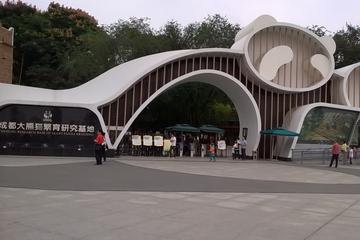 3 Days Highlight Chengdu & Xian Tour by Bullet Train