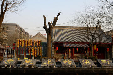 5 Days Xian Food and Culture Tour Combo Package