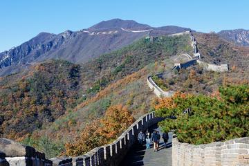 Beijing Private Day Tour: Forbidden City and Mutianyu Great Wall