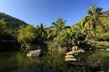 Half Day Private Tour to Yanoda Tropical Rain Forest Park