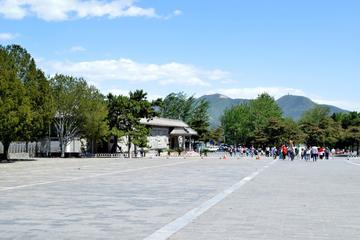 One Day Badaling Great Wall and Dingling Tomb Day Tour (No shopping)