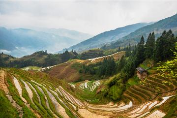 One Day Longji Terrace Field Private Tour