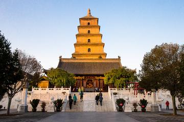 One Day Terracotta Warriors and Big Wild Goose Pagoda Small Group Tour