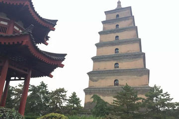 One Day Xian Car Rental