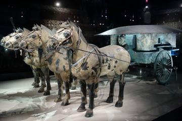 Private Xian Tour: 4 Hours Terracotta Warriors (No shopping)