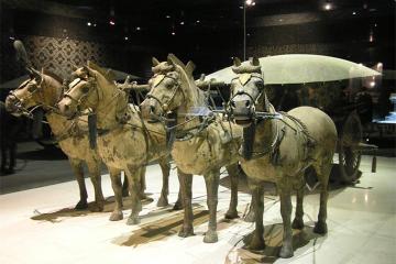 Terracotta Warriors and City Wall Private Day Tour