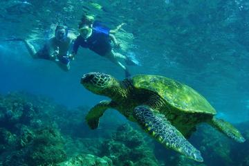St Maarten Snorkeling and Discovery Tour