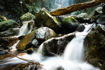 Tai Mo Shan Waterfall Adventure Hike