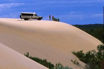 Half-Day Pemberton National Parks Beach and Forest Eco Adventure