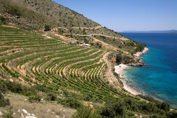 8-Day Dalmatia Home of Zinfandel Grape Tour from Split