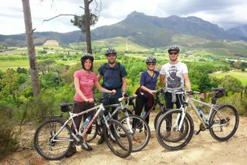 Guided Bike Tour of Stellenbosch
