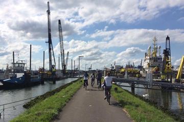 Half-Day Small-Group Harbor Bike Tour in Rotterdam