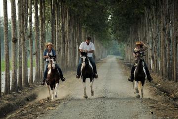 Day Trip to Hacienda La Danesa with Horseback Riding and Lunch
