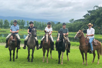 Horse Riding with Buffaloes and Hacienda Lunch