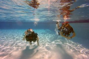 The Full Face Mask Diving Experience