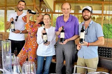 Full-Day Private Create Your Own Wine Experience from Santiago