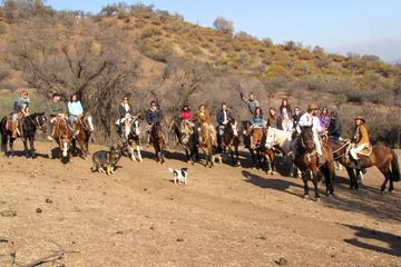 Horseback Riding Tours