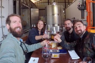 Independent Winemakers Tour from Santiago