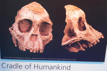 Cradle of Humankind and Maropeng Day Tour from Johannesburg