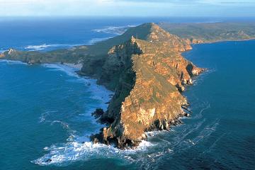 Full Day Cape Point & Peninsula