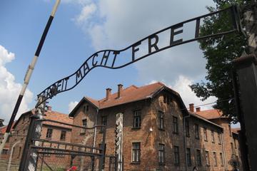 Combined Auschwitz Birkenau and Salt Mine Group Tour from Krakow