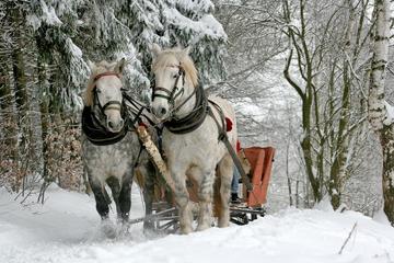 ZAKOPANE & SLEIGH RIDE TOUR