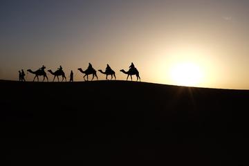 Private sunrise on camel by the pyramids and sunset on felucca by the Nile