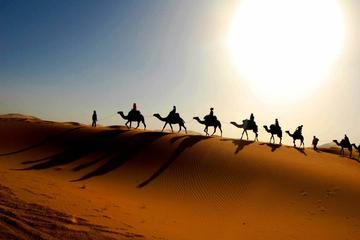 Private Tour: 3 Days From Marrakech to Fes Via The Desert