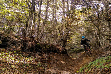 Patagonia Small Group Mountain Bike Tour from Punta Arenas