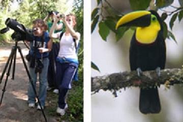 2 Days Bird Watching Tour from Quito