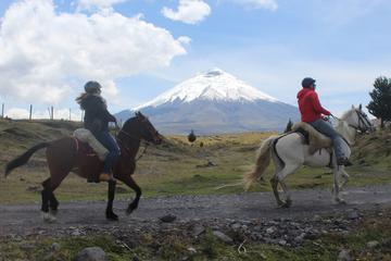 Cotopaxi Volcano Horseback Ride Excursion from Quito