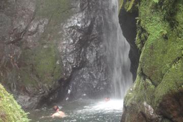 Mindo Cloud Forest Day Trip from Quito