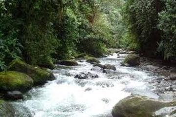 Private 2-Day Mindo Cloud Forest from Quito