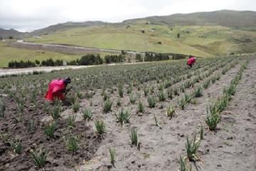 Private tour: 3-Day Quilotoa Hiking Tour Including Local Communities
