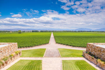Private Wine Tour of Lujan De Cuyo from Mendoza