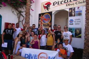 Scuba diving 2 dives from the boat in Sharm El Sheikh