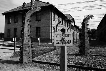 Day Trip to Auschwitz-Birkenau Memorial from Krakow