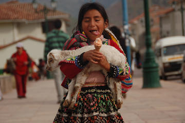 Sacred Valley to Machu Picchu Superior