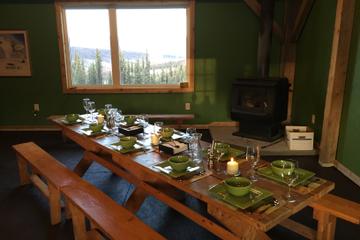 Northern Lights Experience and Cabin Dinner
