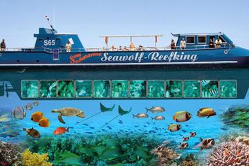 Snorkeling at Sharm El Naga From El Gouna