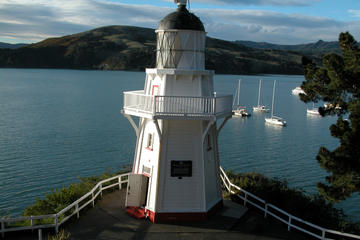 Akaroa Return Shuttle from Christchurch