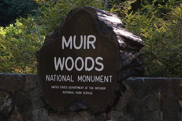 Muir Woods, Sausalito and Tiburon Day Trip from San Francisco