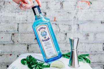 Arrival Southampton Cruise Terminal to London via Bombay Sapphire Distillery