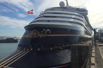 Private Port Departure Transfer: London To Dover Cruise Terminals